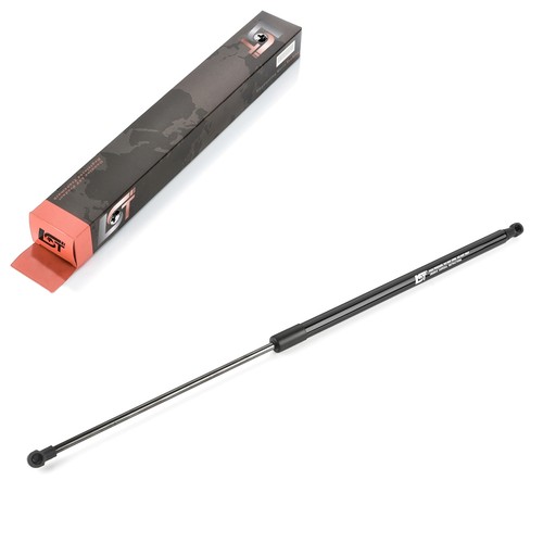 Molle gas portellone - a, baule
